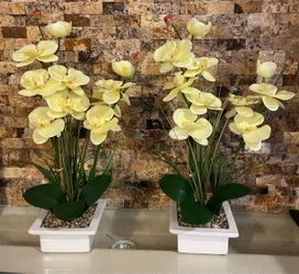 Yellow flowers
