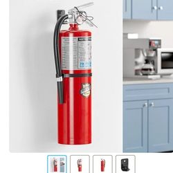 Buckeye 10 Lb Fire Extinguisher - New In box