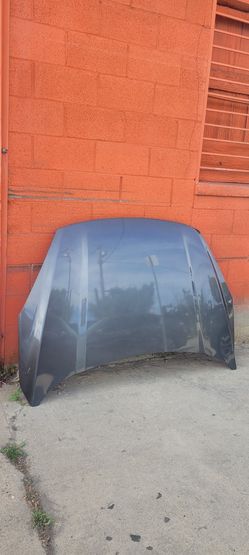 2020 Ford Escape Hood