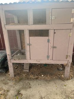 Chicken coup