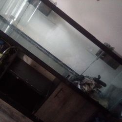 Very Nice 125 Gallon Aquarium In Perfect Working Condition