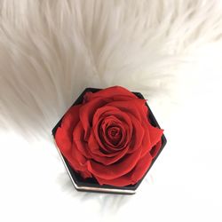 Preserved Red Rose
