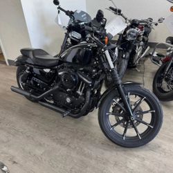 2022 Harley-Davidson Sportster Iron 883