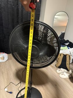 Standing Fan