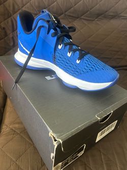 LeBron Witness V Shoes