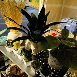 Fake Plants