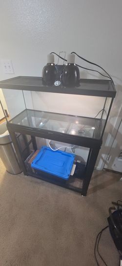 40 gallon tank