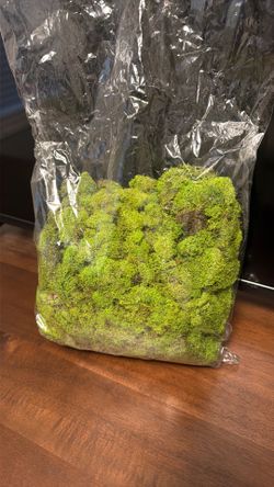 Large bag of raindeer moss  10.00