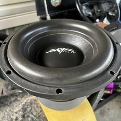 10” Skar subwoofer