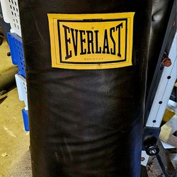 Large Everlast Punching Bag