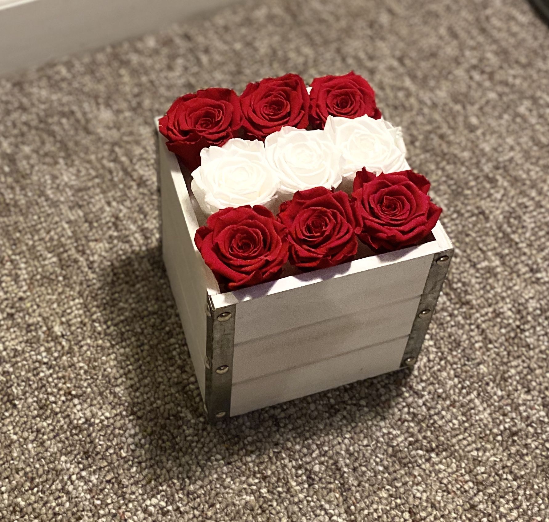 Roses preserved