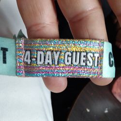 Lollapalooza C3 Guess  Sunday