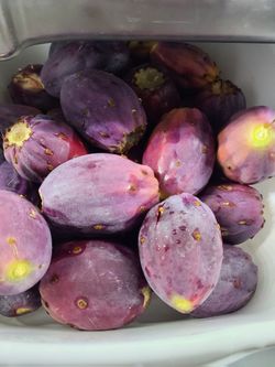 FRESH PRICKLY PEAR message for address