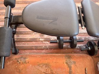 Weight bench with weights