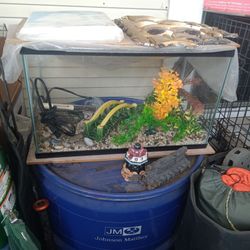 Fish Tank No Lid
