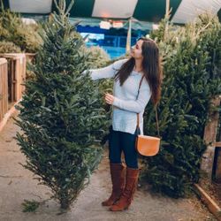 6 Foot Christmas Tree