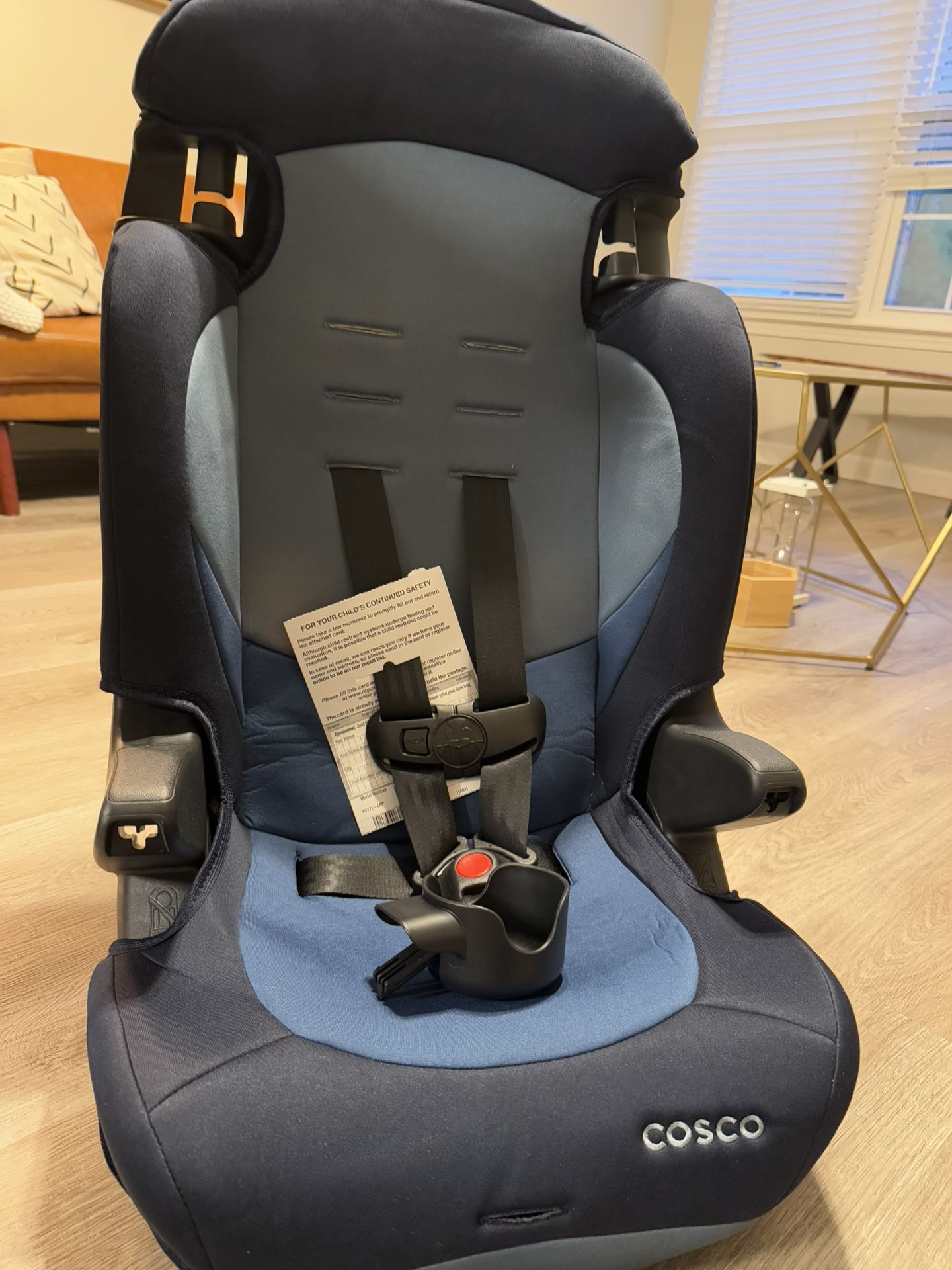 2-in-1 Booster Car Seat
