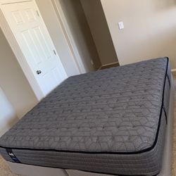 KING SEALY MATTRESS AND FREE BOX SPRINGS 