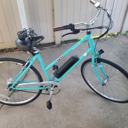 Hurley Amped E-bike 19.5 