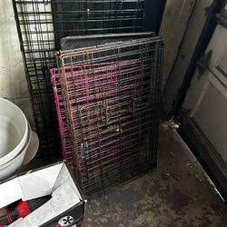 Dog Crates and Never Used Litter Box