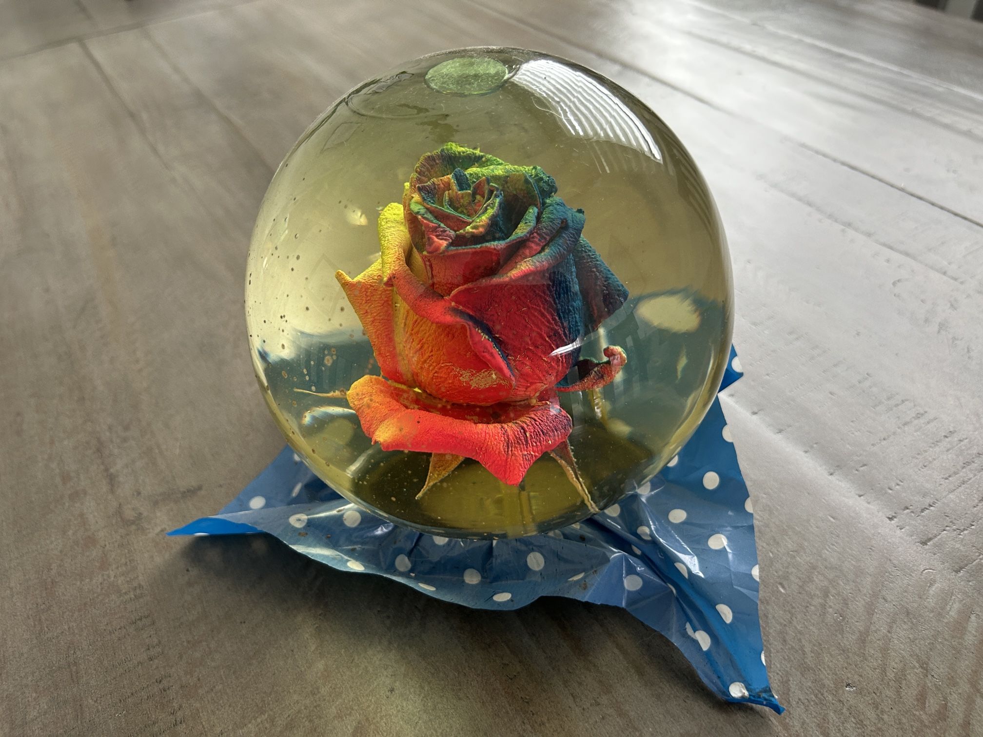 Rose in Water Filled 6” Glass Globe