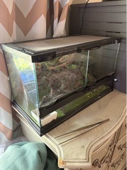 Leopard gecko tank