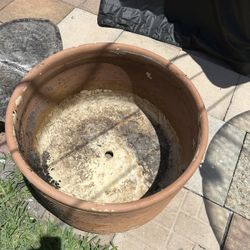 Flower Pot