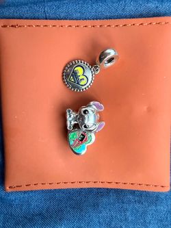 Pandora Charms