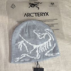 Arc'tery beanie
