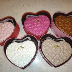 Valentine Audition Designer Bags