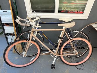 Fixie Bike