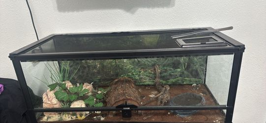 Reptile tank