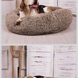 Dog Bed
