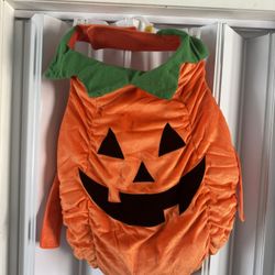 Pumpkin Costume For Dog
