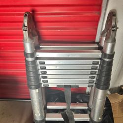 Telescopic Ladder