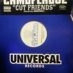 Camouflage Cut Friends Vinyl Record