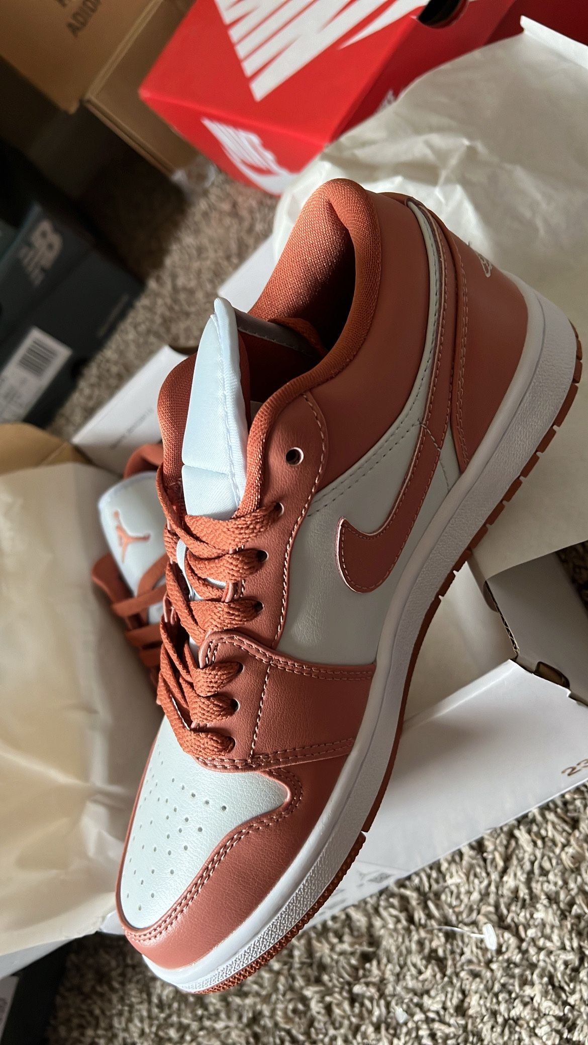 Air Jordan 1 Lows