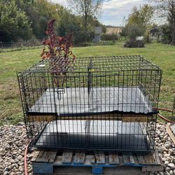 Chicken Coop Cage