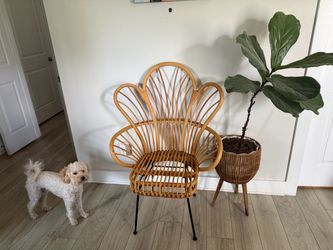 Avocet Rattan Fan Back Accent Chair - Threshold™: Bohemian Style