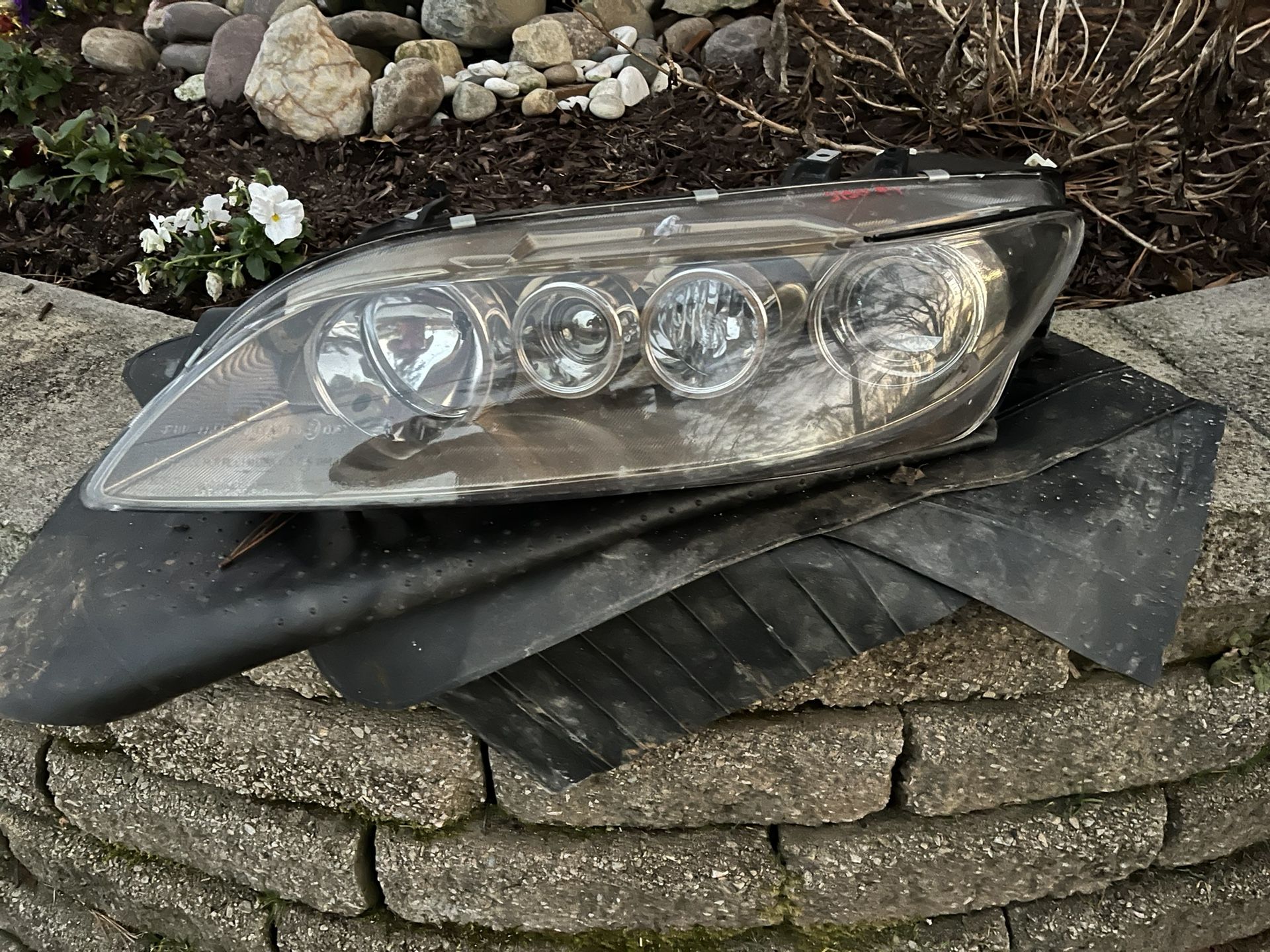 headlight asembely