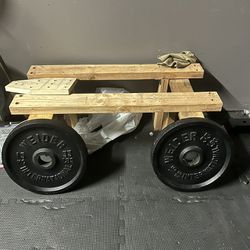 35 lbs Olympic Plates (pair)