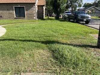 Grass Lawn