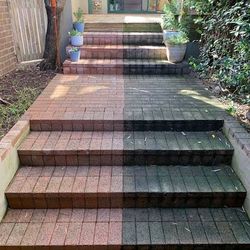 exterior cleaning specialist.