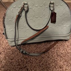 Real Coach Purse