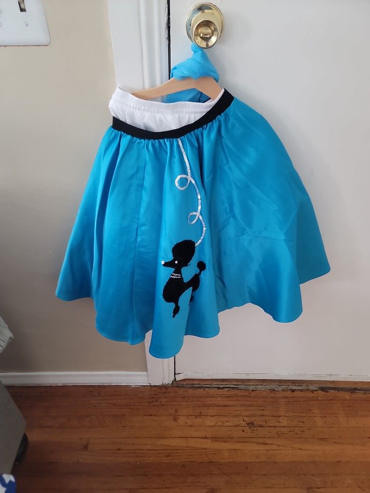 Blue poodle deals skirt costume