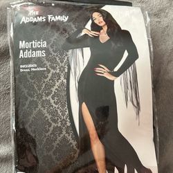 Morticia Adam’s Costume 
