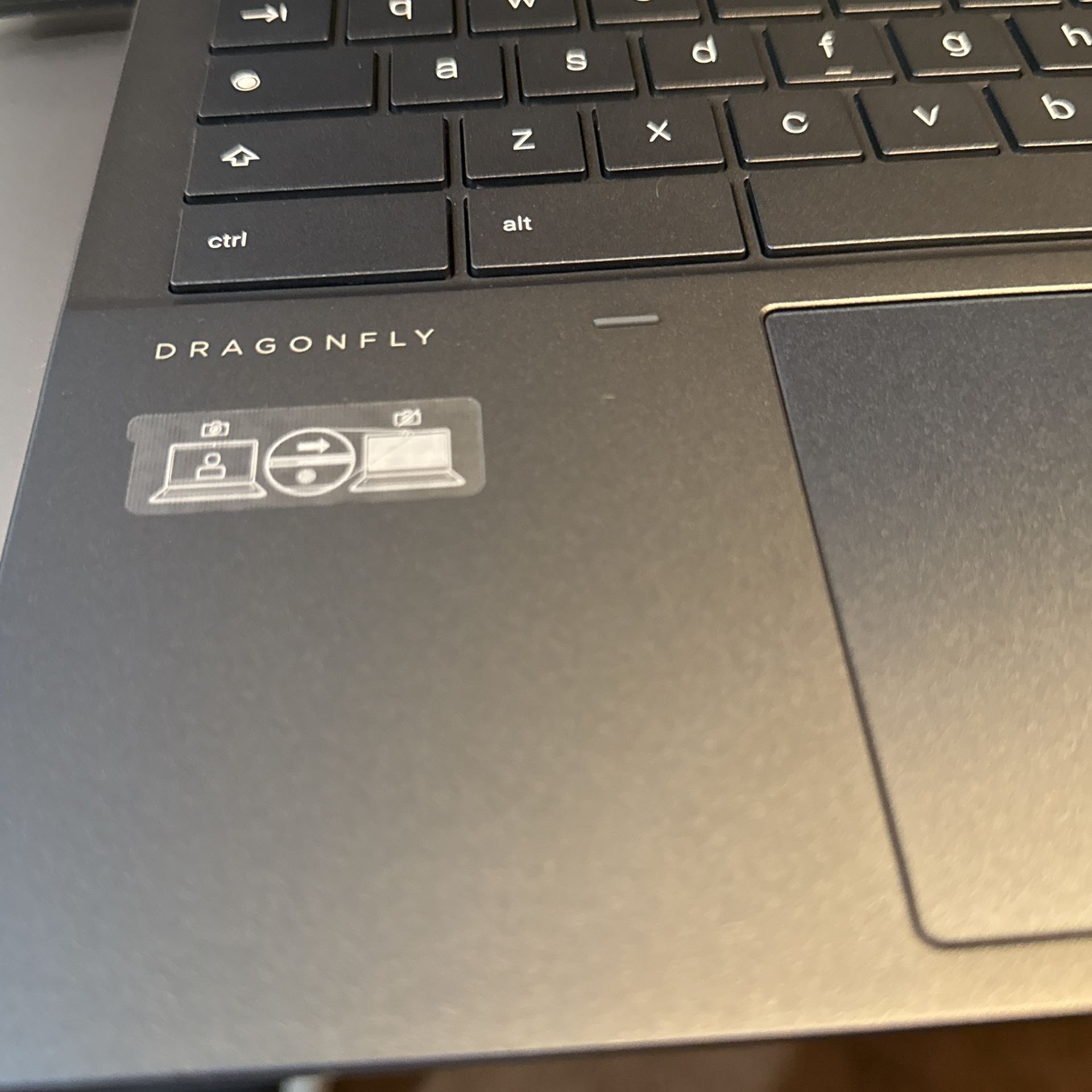 Chromebook DragonFly