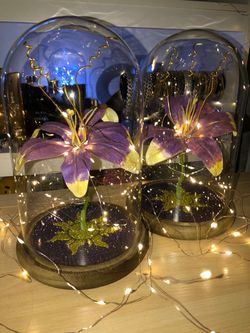 New Flower in Glass Dome (different prices)