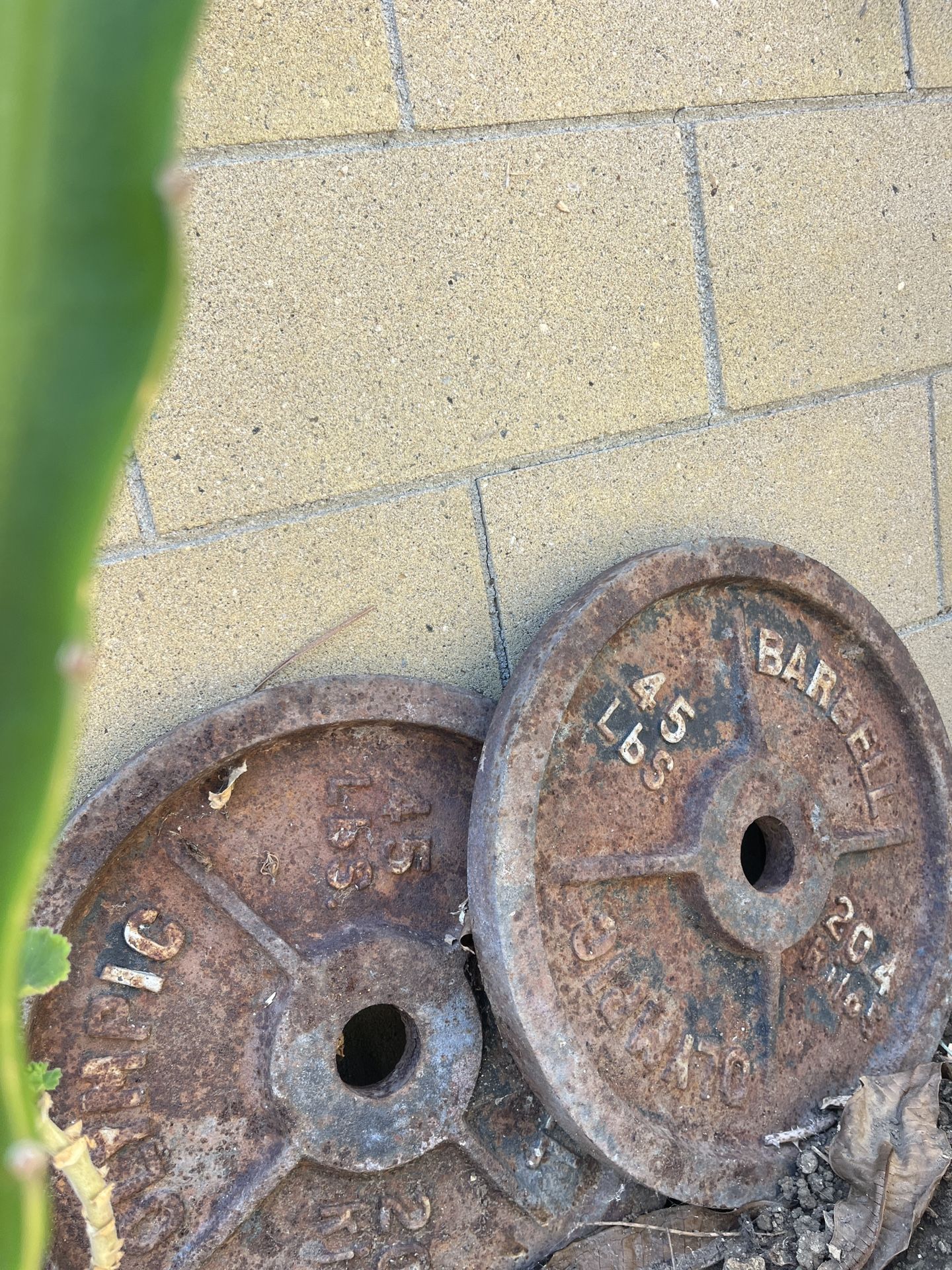 Olympic Barbell Weights