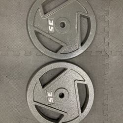 ONE INCH Metal Weight Plate Assortment 